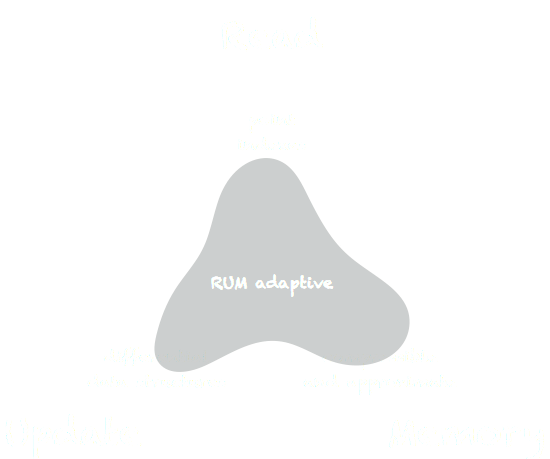 RUM adaptive systems design space