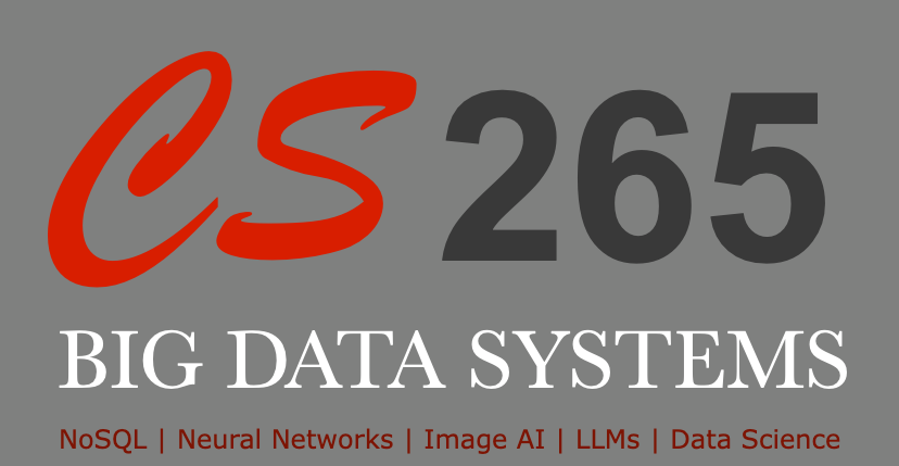 CS265